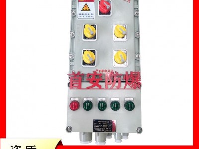 铸铝防爆配电箱组合式复合型防爆电箱首安防爆照明动力配电箱图4