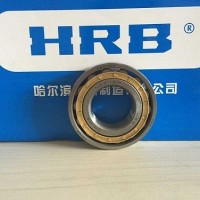 供应圆柱滚子轴承N207EM