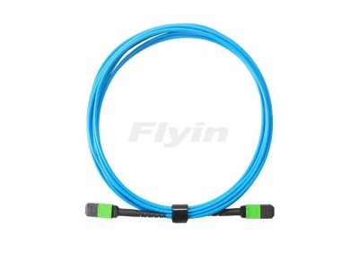 MPO    光纤跳线图2