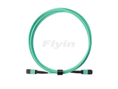 MPO    光纤跳线图3