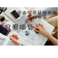 企业研发费用支出管理体系建设服务