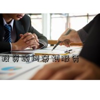 科技、工业类投资顾问策划服务