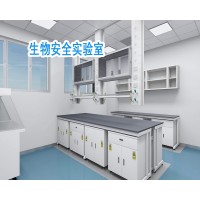洁净室洁净间生物净化间设计建设