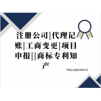 注册公司 代理记账 工商变更 项目申报 商标知产
