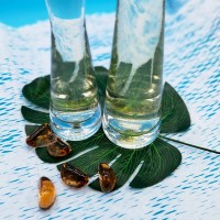 除醛去味中性负氧离子液室内空气治理喷剂 植物提取猫砂除味负离子液