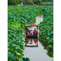 苏州少儿暑假夏令营赏千亩荷花人与自