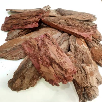 河北水处理松树皮填料厂家供应 生物除臭 规格齐全图2