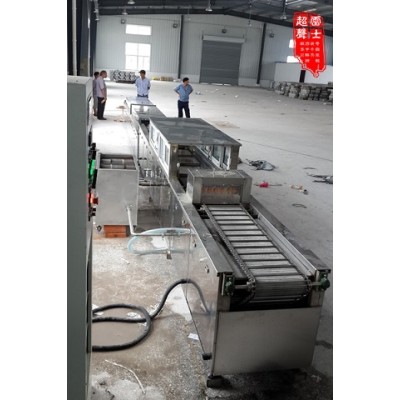 雷士全自动链带喷淋式超声波清洗机图2