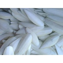 墨鱼骨进口清关流程和清关步骤详解