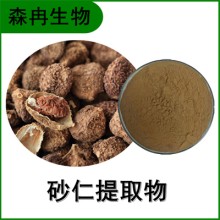 森冉生物 砂仁提取物 缩砂仁提取物 