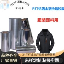 PET铝箔金箔彩色服装装饰刻字膜专用P