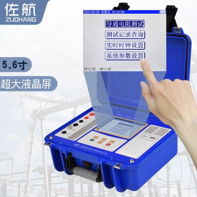 佐航DDW8111接地引下线导通测试仪10A锂电池图3