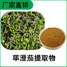 森冉生物 荜澄茄提取物 木姜子提取物 植物提取原料粉