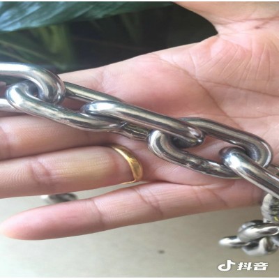 供工业316不锈钢链条起重机304不锈钢吊链图7