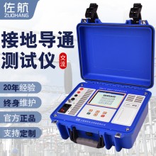 佐航DDW8110接地引下线导通测试仪10A