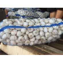 大蒜出口印尼应该怎么操作，青岛港大