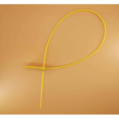 铅封塑料60cm长塑料封签条卡扣图5