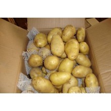 土豆怎么出口到越南，青岛港土豆出口清关商检代理