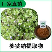 森冉生物 婆婆纳提取物 双铜锤提取物