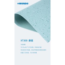 盟多地板盟多康星同质透心PVC塑胶地板
