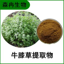 森冉生物 牛膝草提取物 柳薄荷提取物