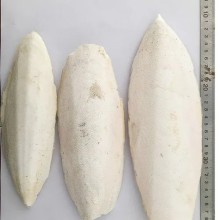 青岛港墨鱼骨进口清关步骤，墨鱼骨进口清关