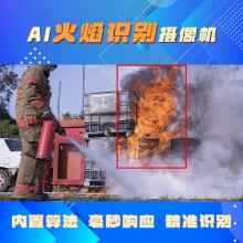 博瓦科技 智能火焰监测识别系统 支持定制 用于安全防护
