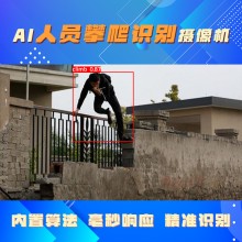 人员攀高行为识别检测 围墙攀爬识别分析系统 支持算法定制
