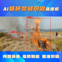 博瓦科技 秸秆焚烧监控摄像机智能监测预警 AI智能秸秆焚烧识别摄