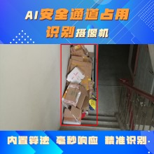 博瓦科技 安全通道占道监测识别系统 智慧社区识别预警系统 操作简单