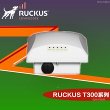 Ruckus无线优科t300室外AP Ruckus T300户外全向AP优科