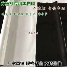 养殖棚黑白膜 养殖食用菌青储遮光膜 