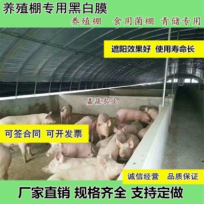 养殖棚黑白膜 养殖食用菌青储遮光膜 遮雨膜图3
