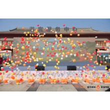 西安提供启动道具 演出节目 开场舞蹈