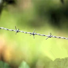 内蒙古现货正反拧刺绳厂家供应包头镀锌铁蒺藜乌海热镀锌刺铁丝