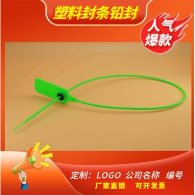 塑料封条一种便于卡接的塑料安全封条铅封图2