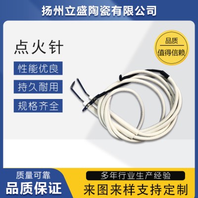 扬州立盛点火针 点火电极系列生产厂家图5