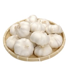 大蒜出口想报关找我们进出口清关公司