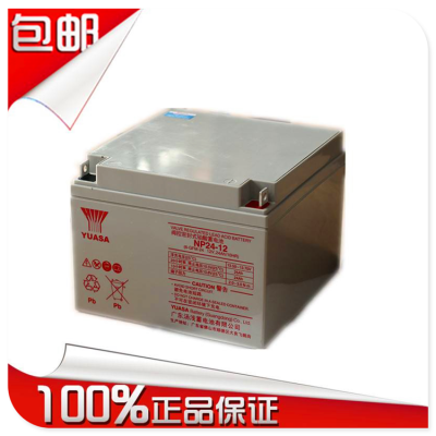 湖北汤浅12V100AH 汤浅蓄电池NP100-12UPS蓄电池图5