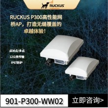 优科Ruckus P300 点对点/点对多点网桥优科P300无线网