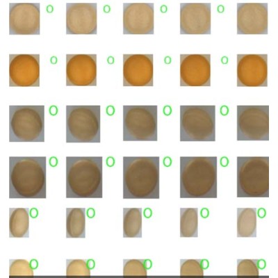 药片/胶囊 360°视觉检测机   医药外观缺陷检测图3