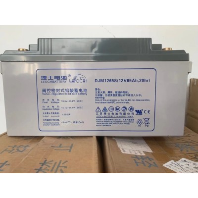 理士蓄电池DJM12100S理士12v100ah蓄电池UPS电源直流屏图4