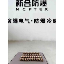 新合防爆活接头