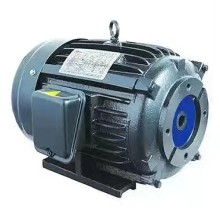 AEEF100L-4油泵电机Fluidman