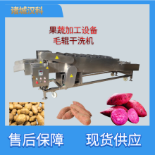 双层毛刷干洗机 土豆干洗机 马铃薯干洗机