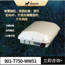 Ruckus户外AP 优科901-T750-WW51室外定向AP企业级WiFi