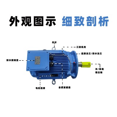 冷却塔专用电动机新款YE3替代Y2PF-M-4-11kW电机防水马达立式异步电动机图2