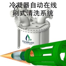 陕西冷凝器自动清洗系统换热管除垢无