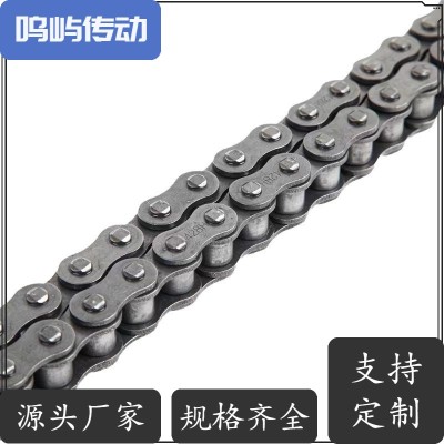 鸣屿传动链B系列短节距精密滚子链 国标 非标定制食品物流输送图2