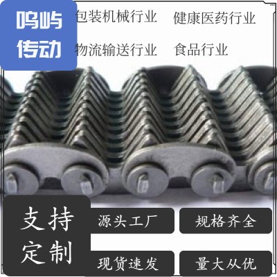 鸣屿工业输送链 尖齿链输送链 国标 非标定制食品物流输送图2